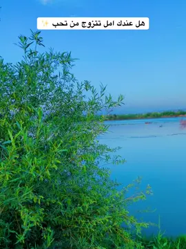 هل عندك امل تتزوج من تحب ✨#تصويري📸 #عباراتكم_الفخمه📿📌 #منين_شفتو_الفيديو😊😍 