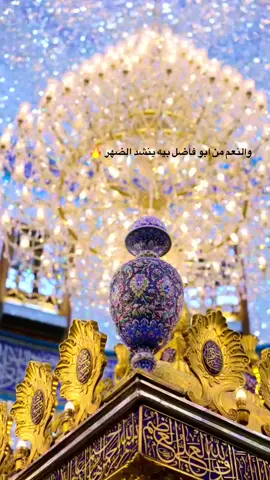 والنعم منك ياأبو فاضل 🫡🤍..  #كربلاء_المقدسة  #الامام_العباس_عليه_السلام  #ابو_فاضل_العباس  #كربلاء_المقدسة 