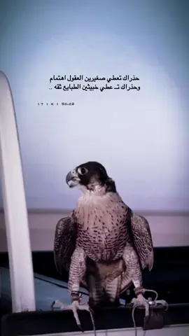 حذراك تعطي صغيرين العقول اهتمام ‏وحذراك تــ عطي خبيثين الطبايع ثقه ..#جديد #اكسبلور #قصايد 