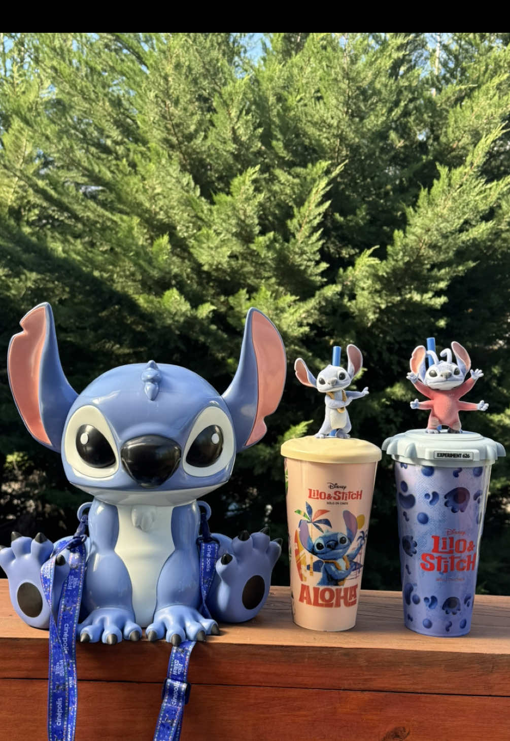 Palomera + vasos Stitch 😍💗Hasta que alfin los tengo en mi poder 😍😍 #stitch #aloha #liloandstitch #experimento626 #foryou #fypシ #fyp #paratiiiiiiiiiiiiiiiiiiiiiiiiiiiiiii 
