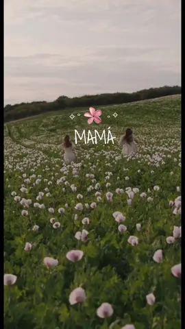 Querida Mamá 💝 #diadelamadre #felizdia #Mama #mamateamo #vida #amordemadre #viral #life #fyp #paratiiiiiiiiiiiiiiiiiiiiiiiiiiiiiii #lentejas #Love #CapCut 