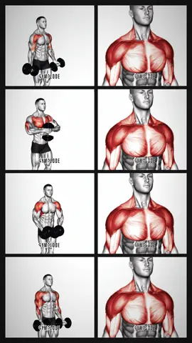 Upper Body Dumbbell Workout! 1️⃣ Low Fly Chest 2️⃣ Svend Chest Press 3️⃣ Bent Arm Lateral Raise 4️⃣ Curl Press Extension #gym #fitness #exercise #workout #workoutroutine #exercisetips #fitnesstips #bodybuilding #musclebuilding #upperbodytraining #shoulderworkout #homeworkout #fyp #foryoupage❤️❤️