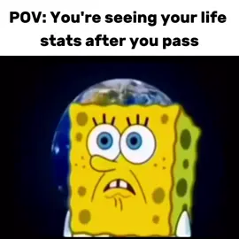 Life stats when I die might be close to this 