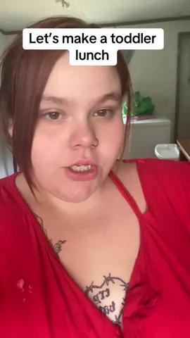 #cooktok #cooking #cookinglunch #toddlerlunchideas #toddlerlunchrecipe #balancedlunch #toddlermealideas #sahmsoftiktok 