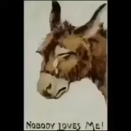 #foryoupage #foryoupage #foryoupage #foryoupage #foryoupage #foryoupage #foryoupage #foryoupage #foryoupage #foryoupage #foryoupage ##foryoupage #foryoupage #foryoupage #foryoupage #foryoupage #foryoupage #foryoupage #fo  #foryoupage #foryoupage #foryoupage #foryoupage #foryoupage #foryoupage #foryoupage #foryoupage #foryoupage #foryoupage #foryoupage ##foryoupage #foryoupage #foryoupage #foryoupage #foryoupage #foryoupage #foryoupage #هforyoupage # foryoupage #foryoupage #foryoupage #foryoupa  #foryoupage #foryoupage #foryoupage #foryoupage #foryoupage #foryoupage #foryoupage #foryoupage #foryoupage #foryoupage #foryoupage ##foryoupage #foryoupage #foryoupage #foryoupage #foryoupage #foryoupage #foryoupage #fo  #foryoupage #foryoupage #foryoupage #foryoupage #foryoupage #foryoupage #foryoupage #  #foryoupage #foryoupage #foryoupage #foryoupage #foryoupage #foryoupage #foryoupage #foryoupage #foryoupage #foryoupage #foryoupage ##foryoupage #foryoupage #foryoupage #foryoupage #foryoupage #foryoupage #foryoupage #fo  #foryoupage #foryoupage #foryoupage #foryoupage #foryoupage #foryoupage #foryoupage #foryoupage #foryoupage #foryoupage #foryoupage ##foryoupage #foryoupage #foryoupage #foryoupage #foryoupage #foryoupage #foryoupage #foryoupage # foryoupage #foryoupage #foryoupage #foryoupaforyoupage #foryoupage #foryoupage #foryoupage ##foryoupage #foryoupage #foryoupage #foryoupage #foryoupage #foryoupage #foryoupage #foryoupage # foryoupage #foryoupage #foryoupage #foryoupa #المنتخب_لا_يمثلني #fpy #ابـو_لجـون🦅 #p #foryou #شلتـاغ_ابـو_الـجون_الجـبير #صاكرهم #🦅شلتـاغ_ابـو_الـجون_الجـبير #٠شلتـاغ_ابـو_الـجون_الجـبير #كسبلور #الامام_علي_بن_أبي_طالب_؏💙🔥 #foryoupa 