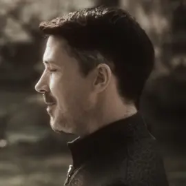 hold me back как говорится | scp: @𝐧𝐨𝐞𝐥𝐥𝐞 𓅪 #petyrbaelish #lordbaelish #gameofthrones #got #littlefinger #aidangillen #fyp 