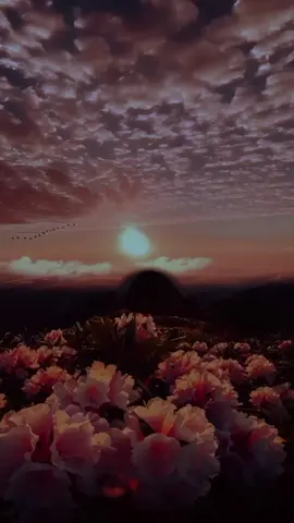 ᴶᵃⁱ ᴴᵃˢ ᴷ ᴮᵘˡᵃᵃ ᴸᵃᵛᵃʸ ᴷⁱᵈʰᵃʳᵃʸ🌺♥️•||>                #FYP #ViralVideo #Trendingnow #TikTokPakistan 