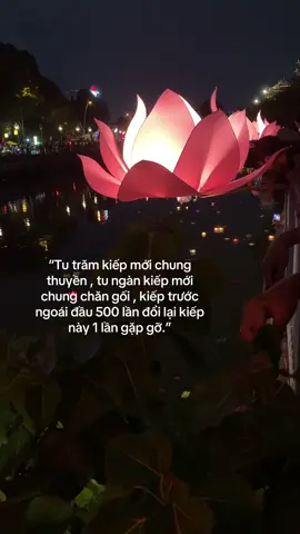 #xh #fyp #mưakhongdut 