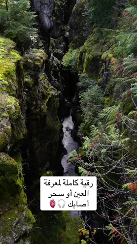 #قرآن #تلاوة_القرآن #quran #muslim #رقية_شرعية 