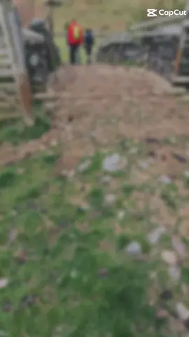 #CapCut #lakedistrict #outdooradventures #ukmountains #outdoor #walkingtrails #walkinggroup #hikingadventures #hikinguk #campingtraining #Hiking #hikinglakedistrict #ishowyou #walkwithme #comejoinme #exploringuk #vanlife #exploreoutdoors #meetpeople #MentalHealth 