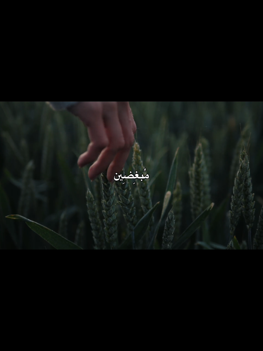 هسه هاي الدنيا هواي هوسة مشاكل طلايب ! #الله #tiktok #capcut #viral #explore #fyp #الشيخ_علي_المياحي 