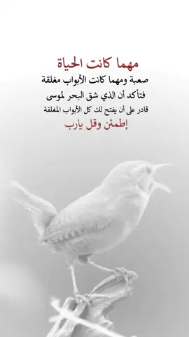 مهما كانت#حكاية_رجل🦅🦅 #خواطر_من_القلب💘 #كلمات_تلامس_القلب #اكسبلورexplore 