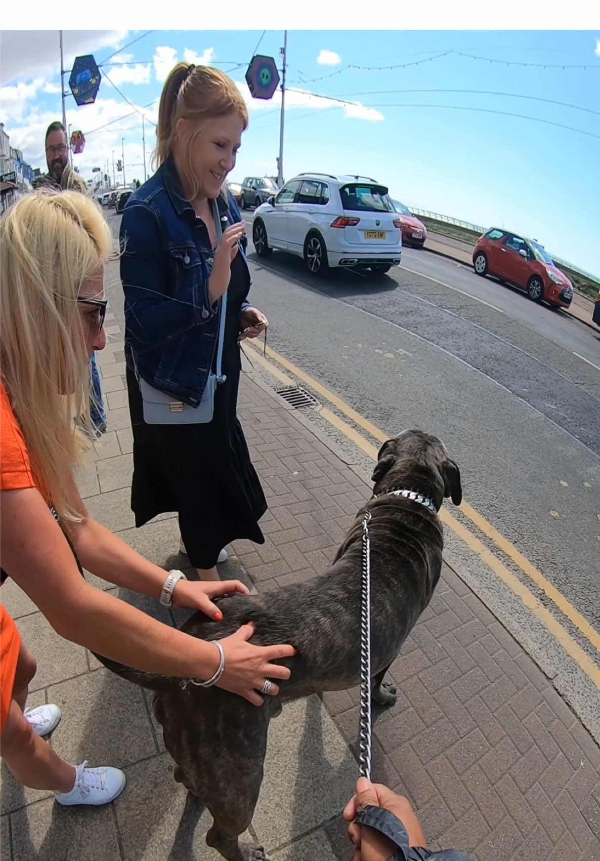 Be honest… are you CUDDLING or CROSSING the road? 🐕👇 #fyp #canecorso #dog #videoviral 