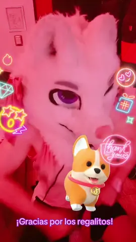 Gracias por su valioso apoyo en mi LIVE. Seguiré esforzándome para crear contenido LIVE aún mejor. #tiktoklive #livehighlights #livegift #corgi #bowknot #LaFurryteria #NeoFurrites #FurryFandom 