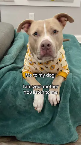 Happy Dog Mom’s Day! #dogs #dogvideos 