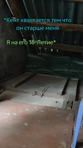 Помогите добить 1к🥰 #fyp #vivo #юмор #рекомендации #detroit #i_love_video_games #коннор 