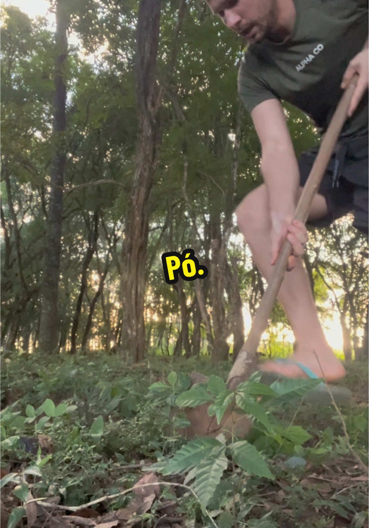 Quase que eu caio.