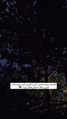 🤎#fyp #foryou #اکسبلور #fypage #foryoupage #سلێمانی #فوريو_foryou #imrova✅ #lava🤎 #اکسبلورررررررررررررررررررر❤🧸 #actives? #imrova #اکسپلور #فوريو #ئەکتیڤبن🥀🖤ـہہـ٨ــہ #kurdish #فیپシ #فیپ #فۆریو #fyp 