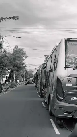 trip jamnas🚀 #jamnascbindonesia #busmaniacommunity #busindonesia #bismania #fyp 