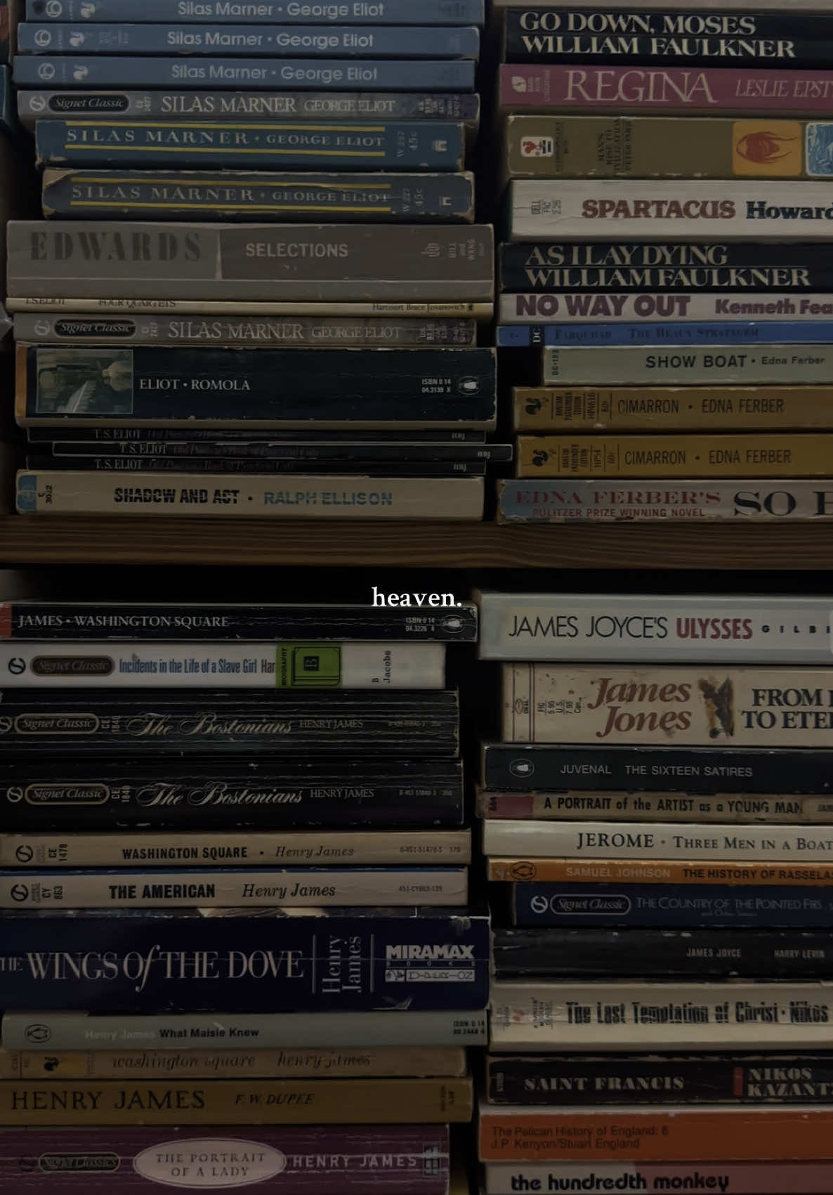 there were walls and walls of vintage editions, what a dream #bookstore #usedbooks #classicliterature #classicbooks #bookaesthetic #darkacademia #fiction #fyp 