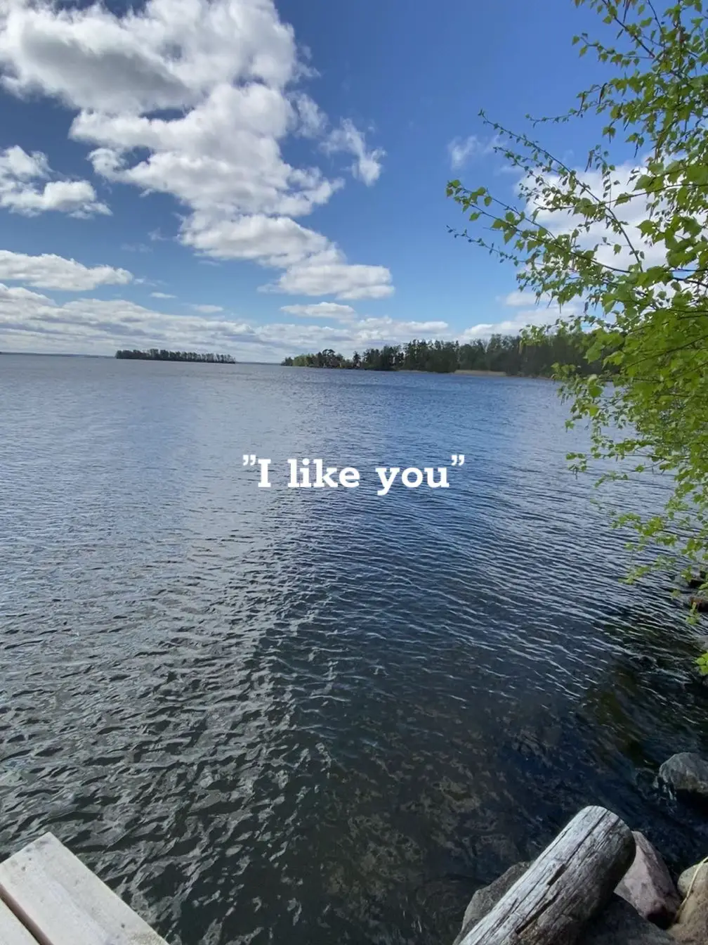 #japp #han #snällagemigenstödlike🥰 #likeadå🥺 #fyp #gåviral 