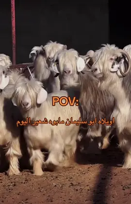 #fyp 