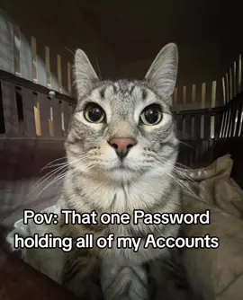 This took way longer to make than it should have #real #relatable #funnytiktok #fouryourpage #foryouu #r #memestiktok #mem #fyp #viral_video #viralvideotiktok #dexter #morgan #Dexter #reposting #zuzu #edit #capcut_edit #password 