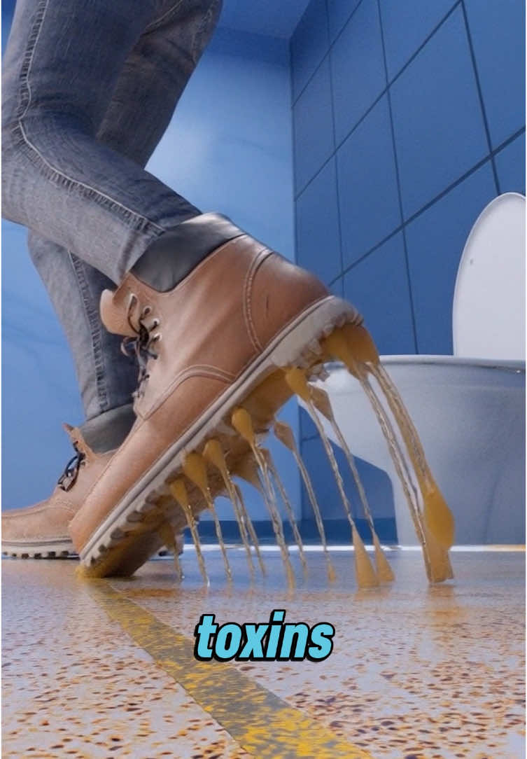 This is your reminder: don’t wear shoes inside your home. Public floors—especially bathrooms—are covered in germs, bacteria, and even urine. Most places don’t clean them properly, and your shoes carry it all back with you. Take them off at the door, or wash them regularly. Protect your home, your health, and the people you care about. #germalert #hygienetips #shoeshabit #homecleaning #bacteriafacts #3dexplained #healthawareness #publichealth