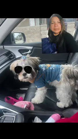 #greenscreen #paratiiiiiiiiiiiiiiiiiiiiiiiiiiiiiii #videos #funnymoments mi bella Minnie 🎀🐾🐶🥰🩷😍