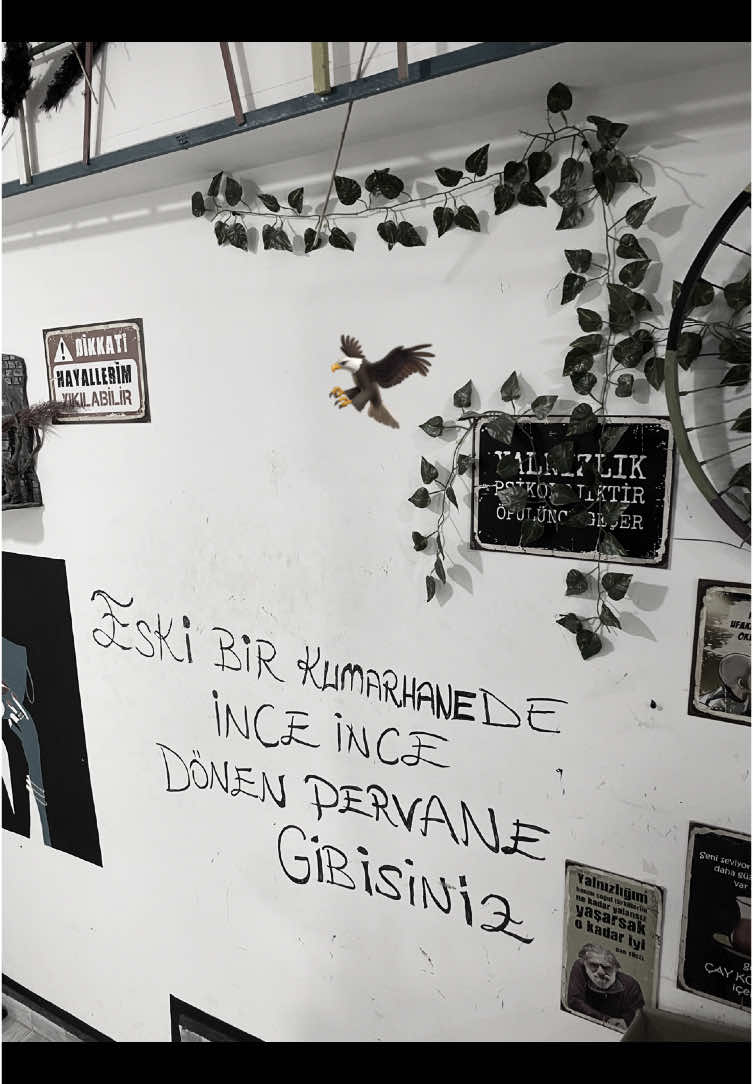Âlem Ayık, Düşmanlar Kolpaa’🦅