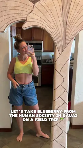 Blueberry 🥺