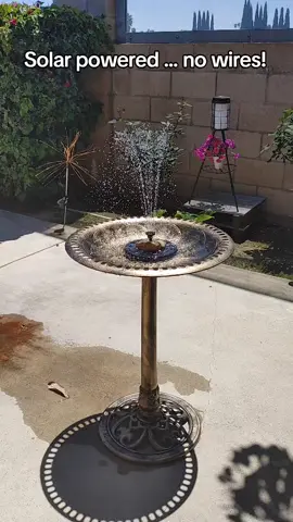 This copper finished bird bath is 28 inches high and solar powered. No wires. I can't wait for our wild birds to notice it! #birdbath #wildbirds #birdbathwithwater #birdbathwaterfeature #copperbirdbath #greenbirdbath #wildbirds #bluejaybirdbath #cardinalbirdbath #birdbathforcrowsdovesfincheshaws #yarddecor #landscapingideas #backyardfurniture #yardfurniture #outdooryarddesignideas #wildbirdfeeder #yarddecorationsideas #curbappeal #wildbirdwatching