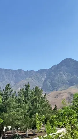 arka fon 😍 (sozi oziniz yazyn 🫷🏻❤️‍🔥) #rek #tiktok #treanding #music #fon 