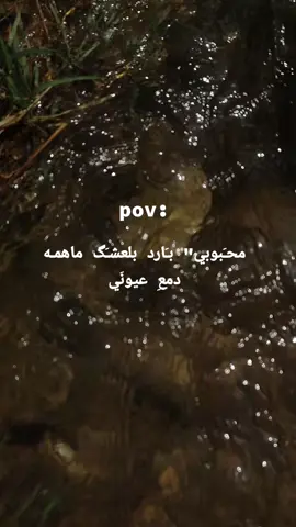 #CapCut #مالي_خلق_احط_هاشتاقات #لحن_الروح🎻 #حالات_واتس 