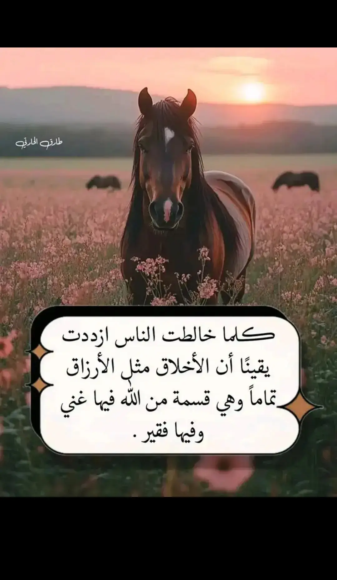 #كلمات_من_القلب #اقتباسات_عبارات_خواطر🖤🦋🥀 #اكسبلور 