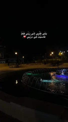 بَكَى قَلْبِي إِلَى رَبِّي فَكَمْ قَاسَيْتُ فِي دَرْبِي ❤️‍🩹.#رام_الله #بيتونيا #حديقة_الاستقلال #اناشيد #يارب❤️ #fy #viral #foryou #اكسبلور 