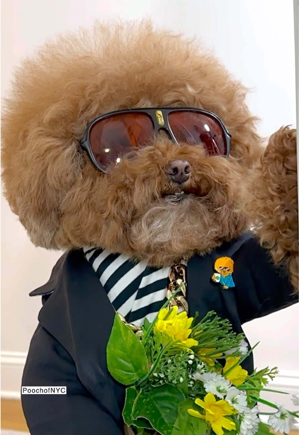 “My ❤️ belongs to my mama.” #happymothersday #mamasboy #PetsOfTikTok #mama #poodle 