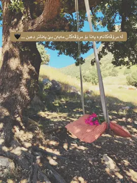 بێپەناتر ئەبن…🖤#tiktok #foryou #کەلاریم_خواقەزاگیان🥀🖤 #explore #explore #fyp #kalar #viral #tiktok #کەلاری #مەرزیەفەریقی 