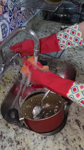 Vocês gostam de lavar a louça?  Lavar a louça é terapêutico para mim, aproveito para pensar e refletir sobre algumas coisas. #cleaninghacks #dicadecasa 