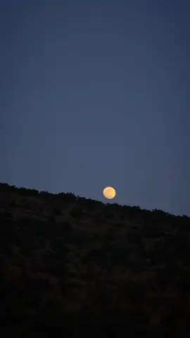Moon 🌕😍مانگ #arbil #duhok#kurdistannature🌿🍀🌴soran #slemani #karkuk #soran #zaxo #akre#kurdii🇹🇯😍#stranakurdi#kurdishemusic #amedi#diyarbekir #halabja #ozhin_nawzad #bilindibrahim #agrindlshad #havalibrahim #hasansharif #shabaz_zamani #ashq #🙊🔐❤️ #Love #loveyou#kurdii🇹🇯😍