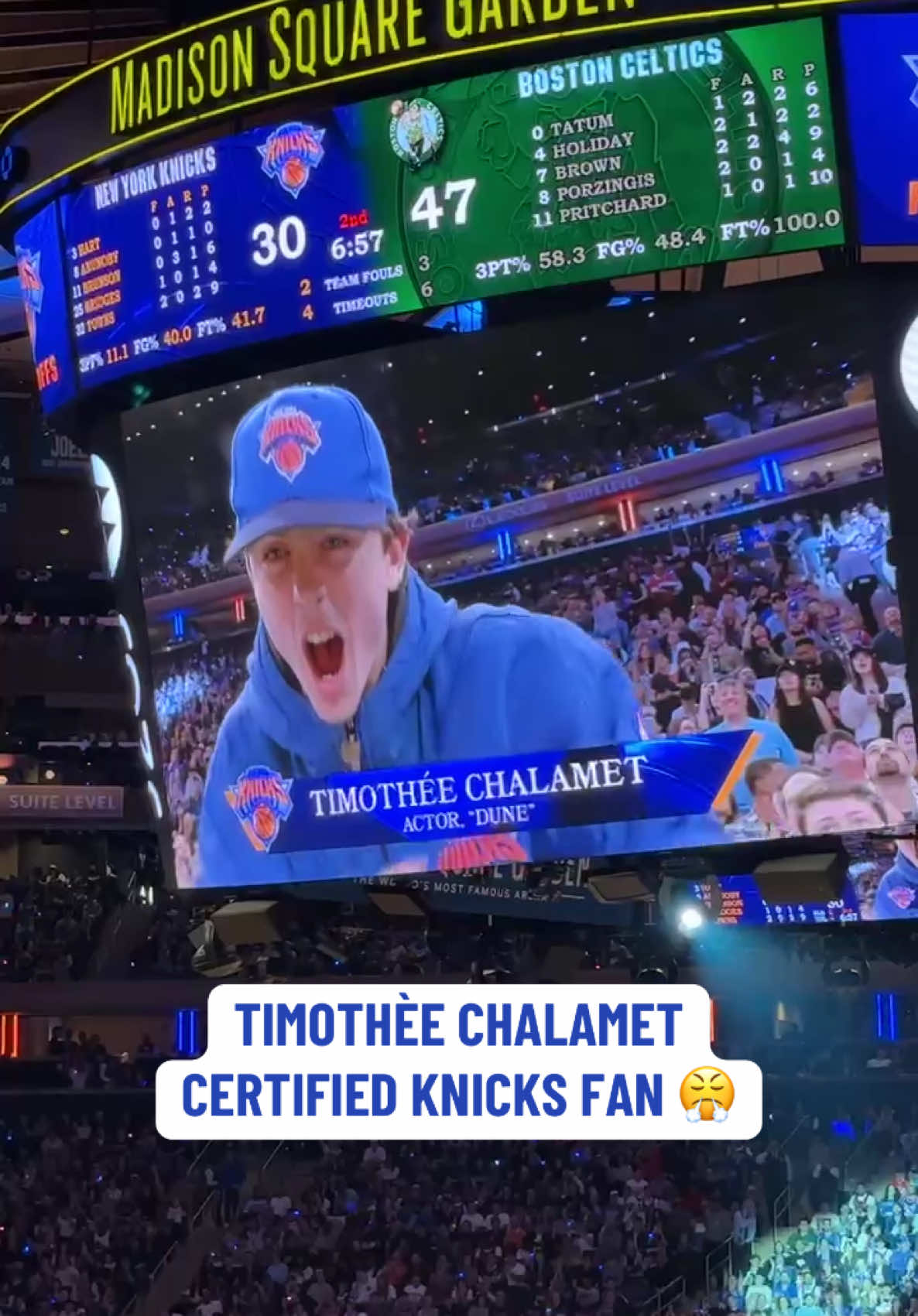 TIMMY KNOWS BALL 💪 #timotheechalamet #basketball #nbaonespn #nbaplayoffs #knicks 