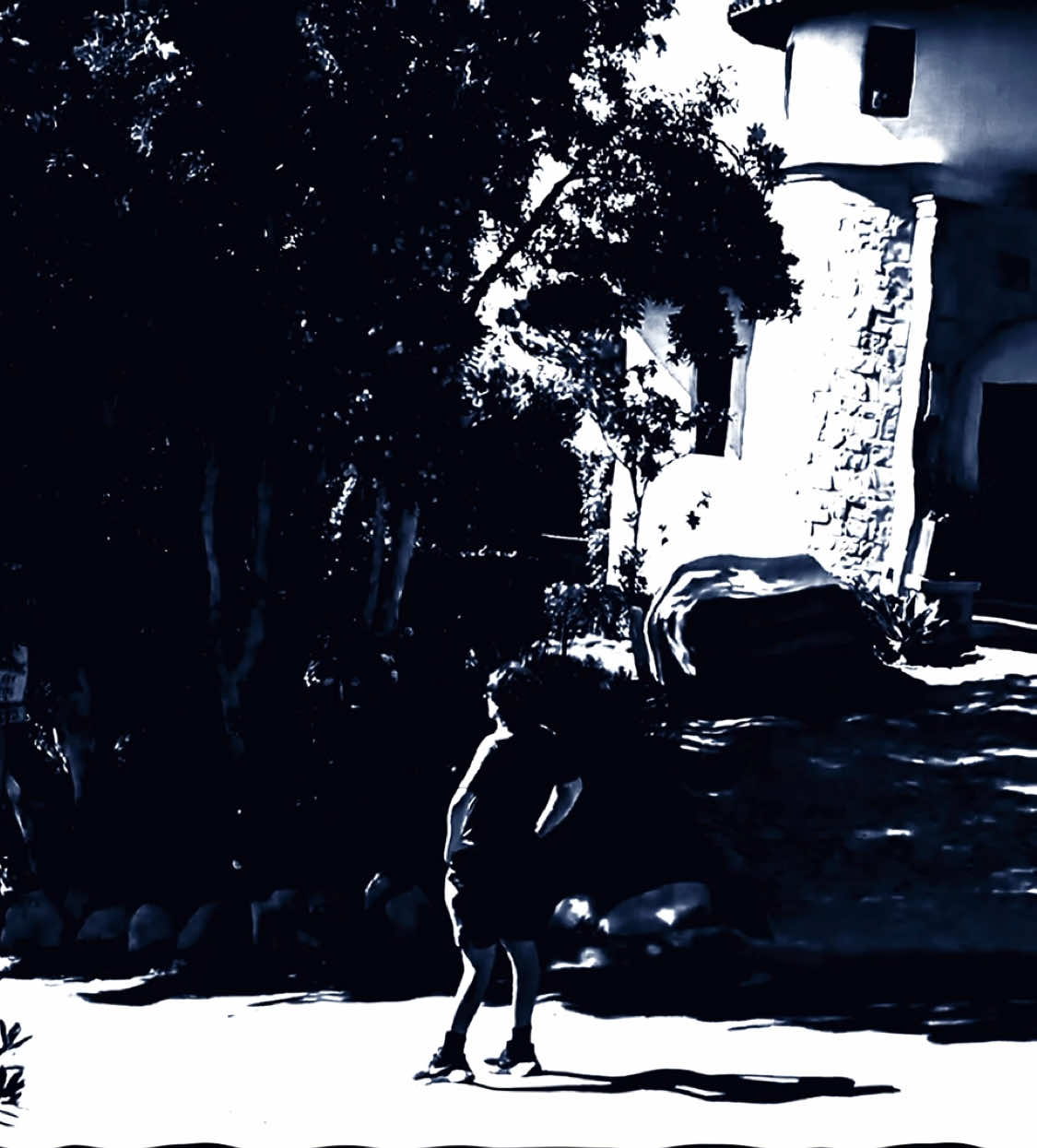 finding the cookie king / cookie king edit #cookieking #cookie #dillonlatham #santacruz #santacruzmedicinals #cookieverse #edit #fyp #foryou #targetaudience  @Dilling10 @Dillon Latham @CALIFORNIA COOKIE 🌁 @🏝️ 