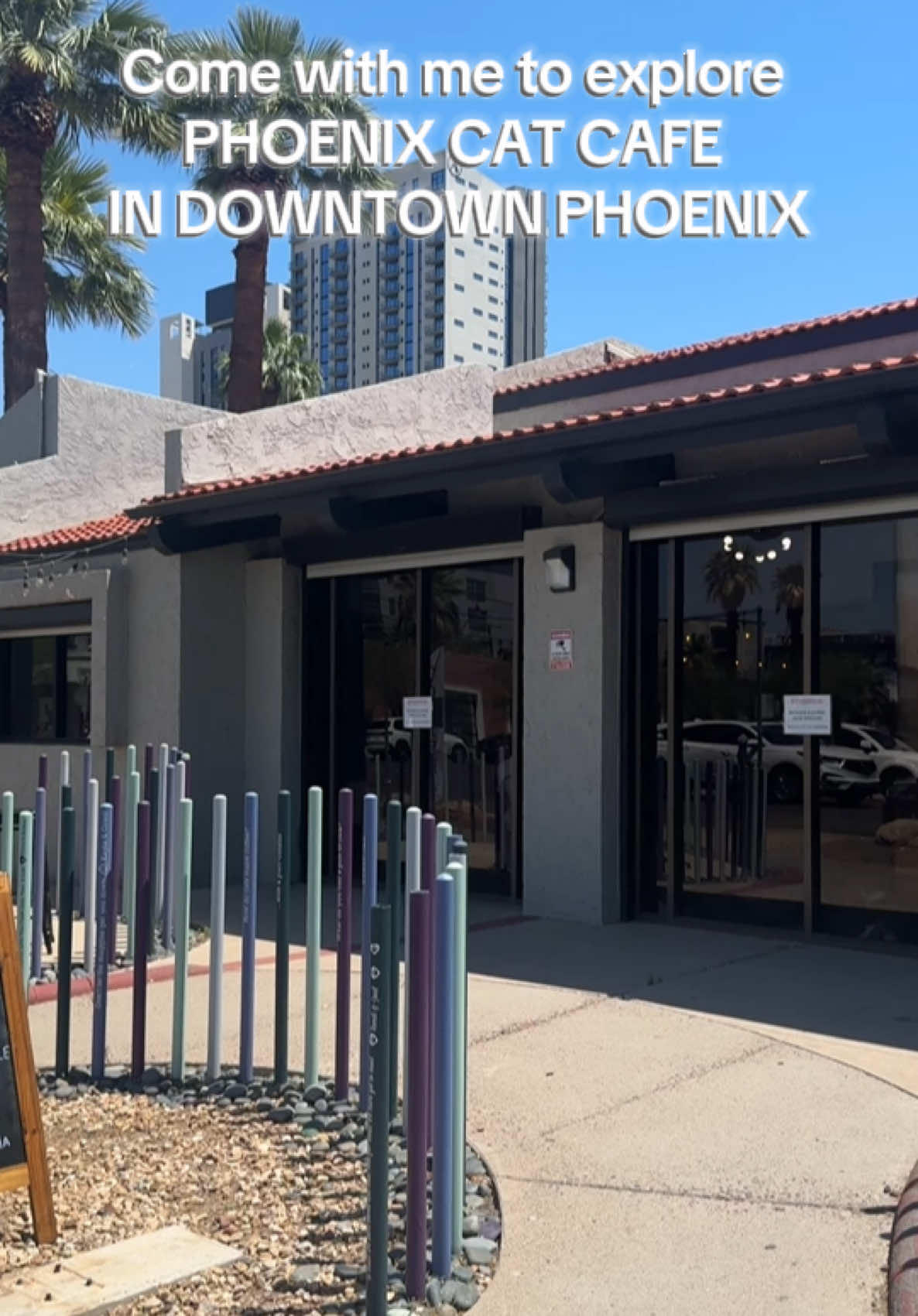 #thingstodophoenix #fyp #thingstodo #catcafeaz #catcafe #phxcatcafe #cafe #trending 