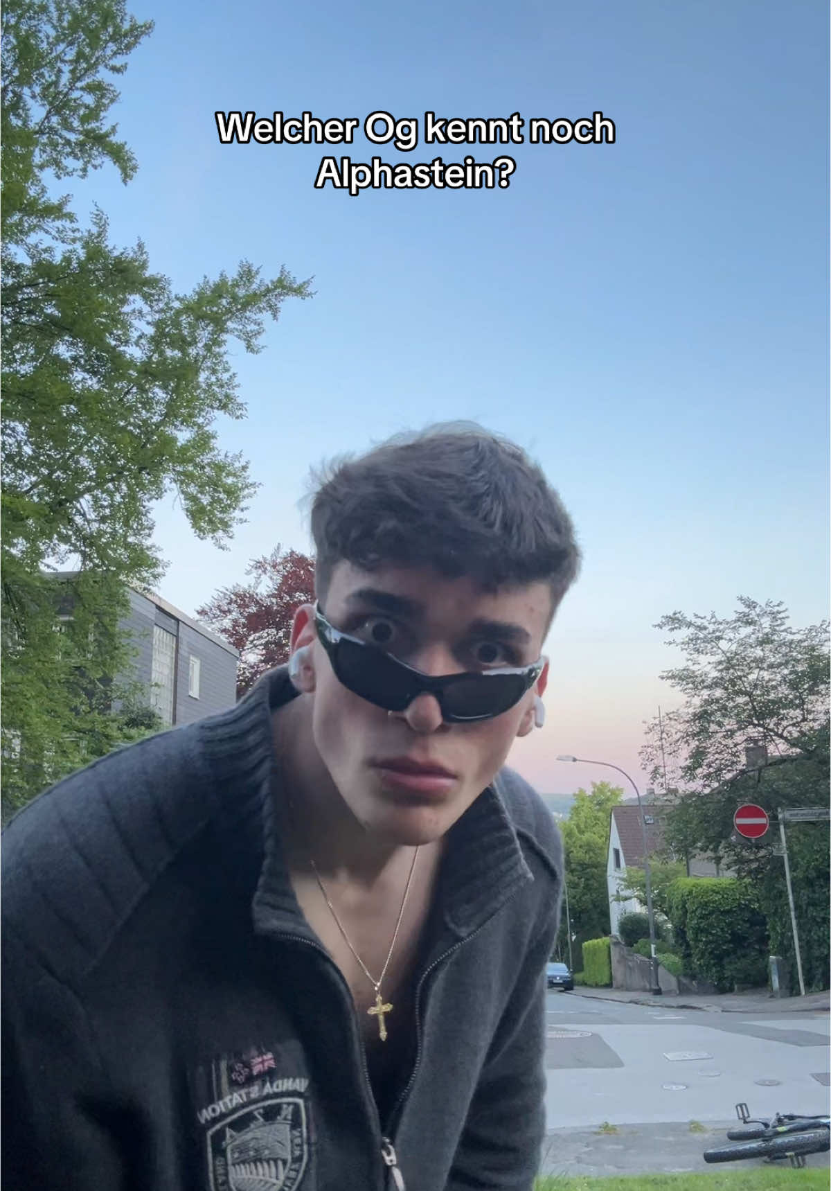 Damals beste Zeit#fyy #fyp #banger #alphastein #Minecraft #altezeiten😔😔 #viralll #reposting #Laurin 