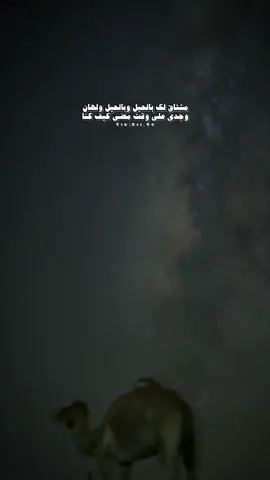 #ظافرالحبابي #pepsikickoffshow #هشتاقاتي_الترند_المشهور #شيلات #اكسبلوررر 