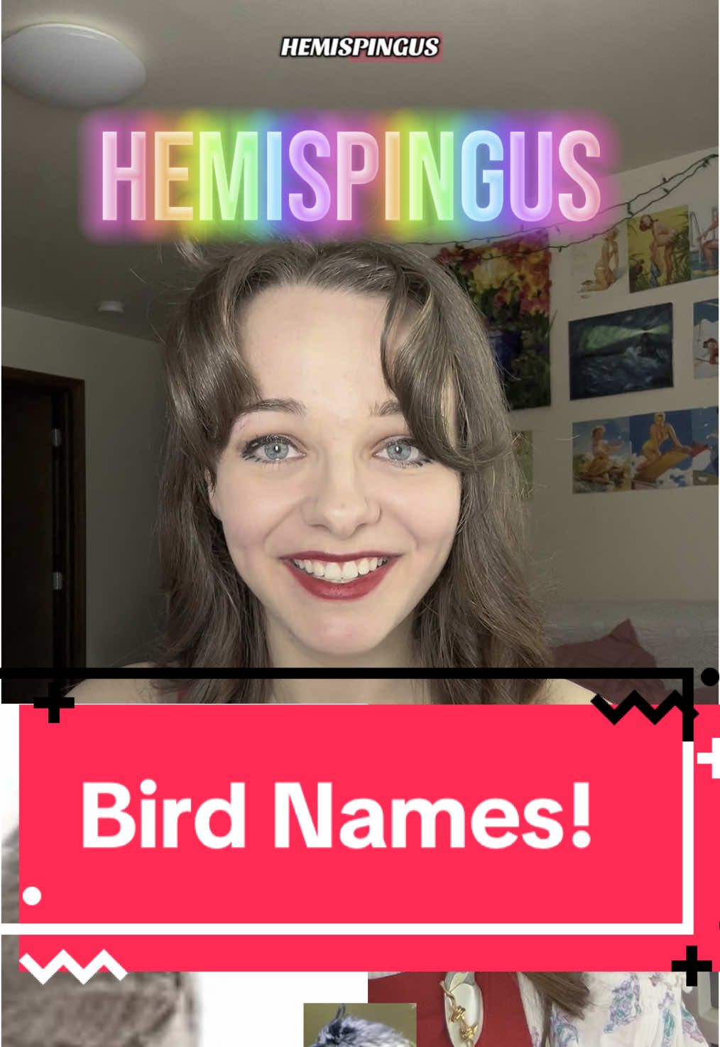Don’t ever talk to me or my son Bat Hawk ever again #babynames #birds #helpme #raven #robin #fyp #skits 