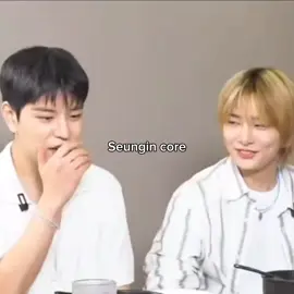 Seungin core | os donos dos melhores sorrisos do universo  #straykids #core 