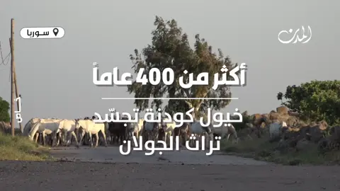 كودنا النعيمي  اهل الاصالة والاصيال ال طحان ديار العز #النعيمي #الجولان #آل_طحان #قبيلة_النعيم_آل_طحان #الجولان_السوري  #أبو_نمي_النعيمي #أحفاد_عزالدين_ابو_حمرة