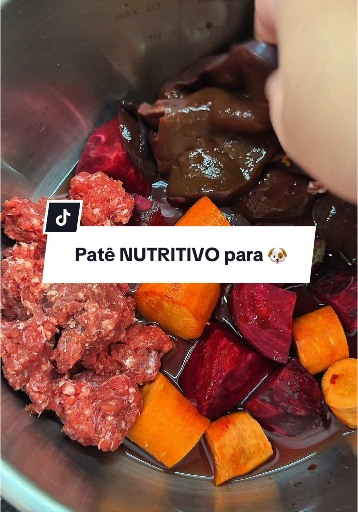 Patê natural e nutritivo para seus cachorrinhos ❤️ Lembrando que use apenas os ingredientes do vídeo! Não pode temperar! Não pode usar sal, cebola, alho, NADA disso. #foryou #fy #pet #cachorro 