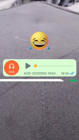 áudio engraçado viral em alta hoje 